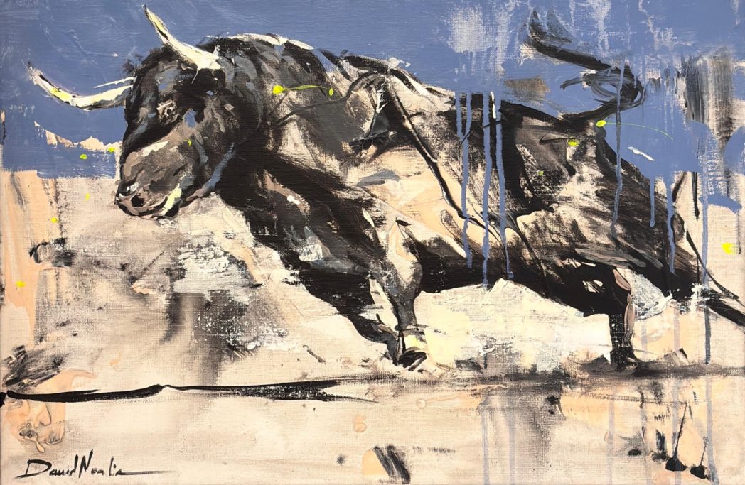 Toro-40x60cm