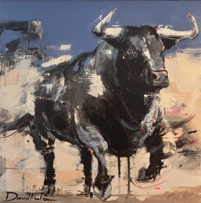 Toro-40x40cm