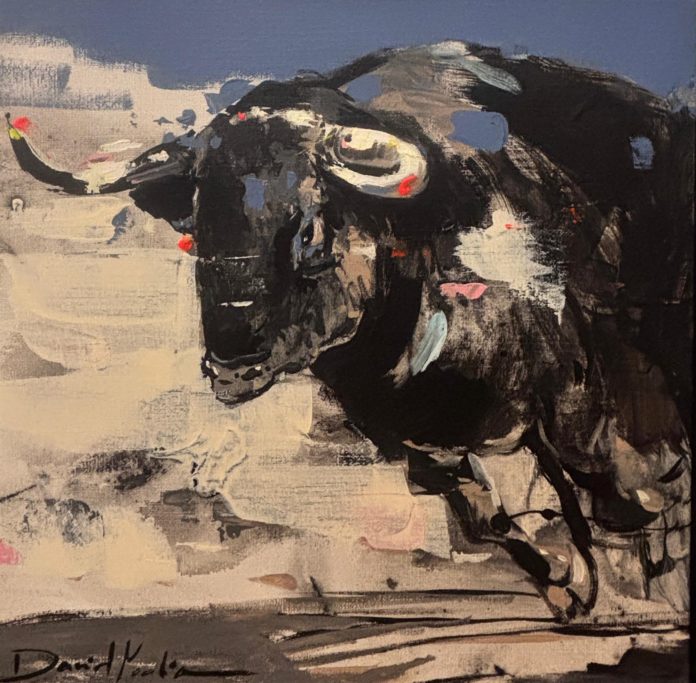 Toro-40x40cm