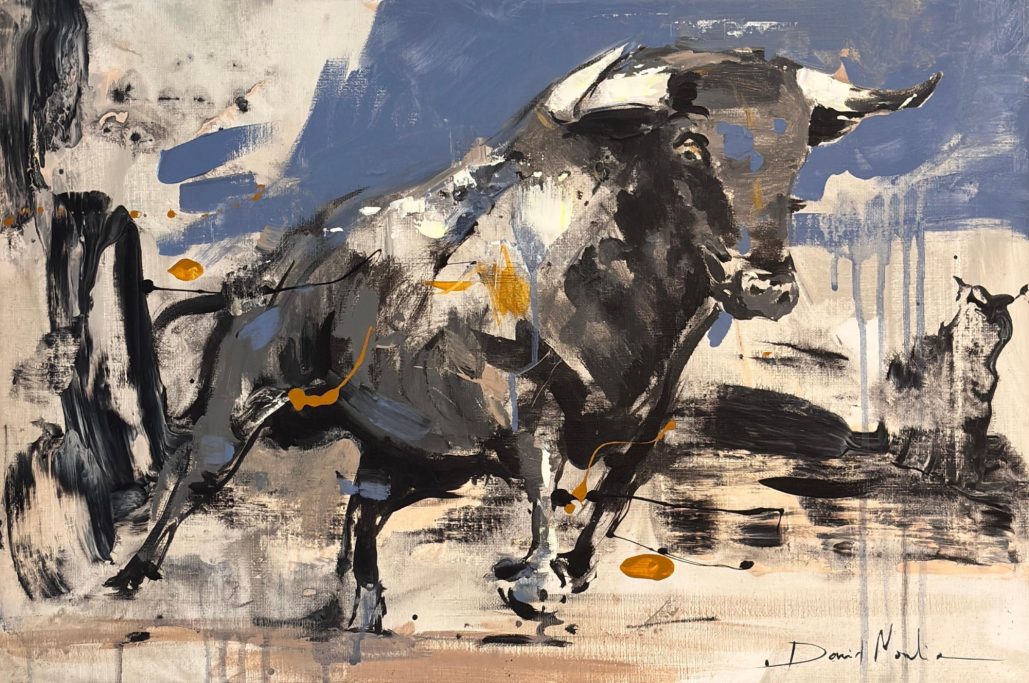 Toro-40x60cm